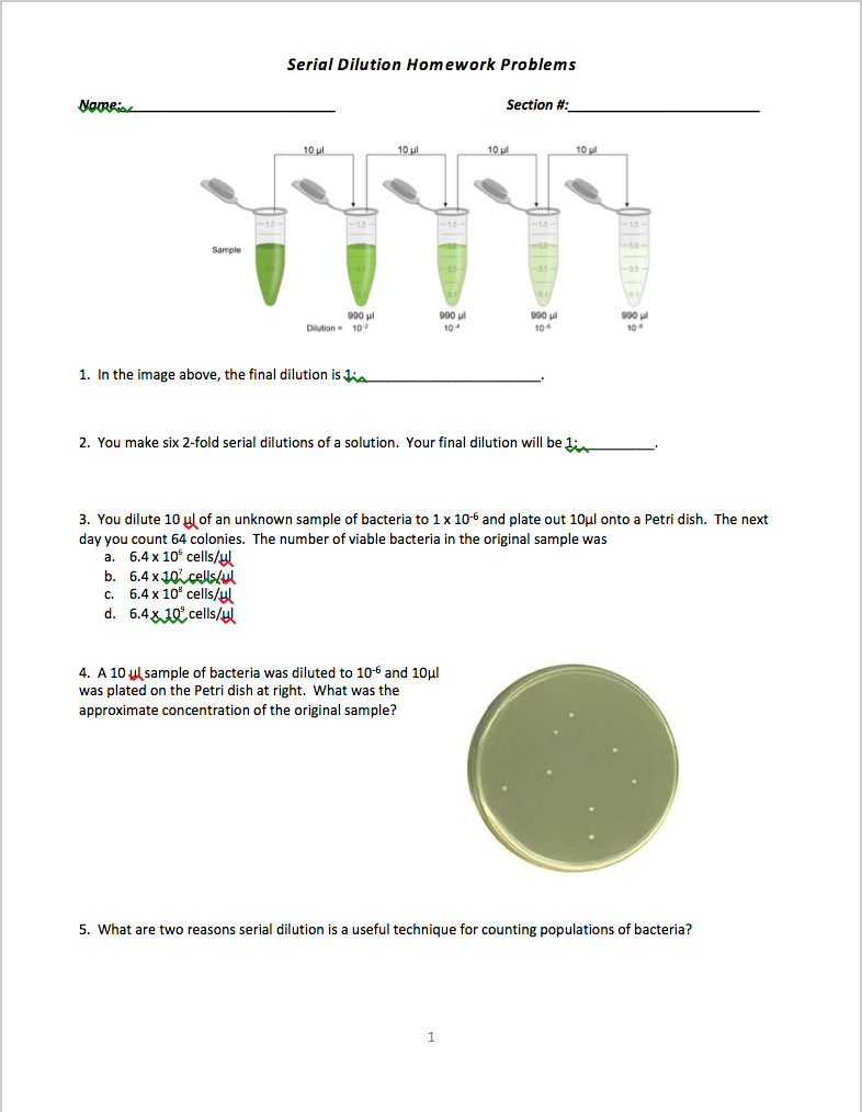 how to make a 10 fold serial dilution